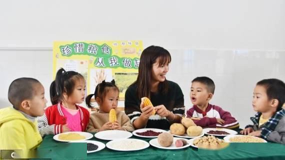 谷物|识五谷 学农事 惜粮食