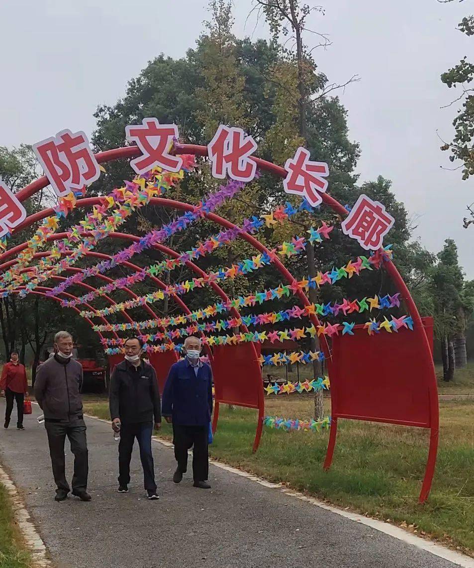 阜田鎮團委,八都鎮團委,白水鎮團委,雙村鎮團委,醪橋鎮團委,冠山鄉