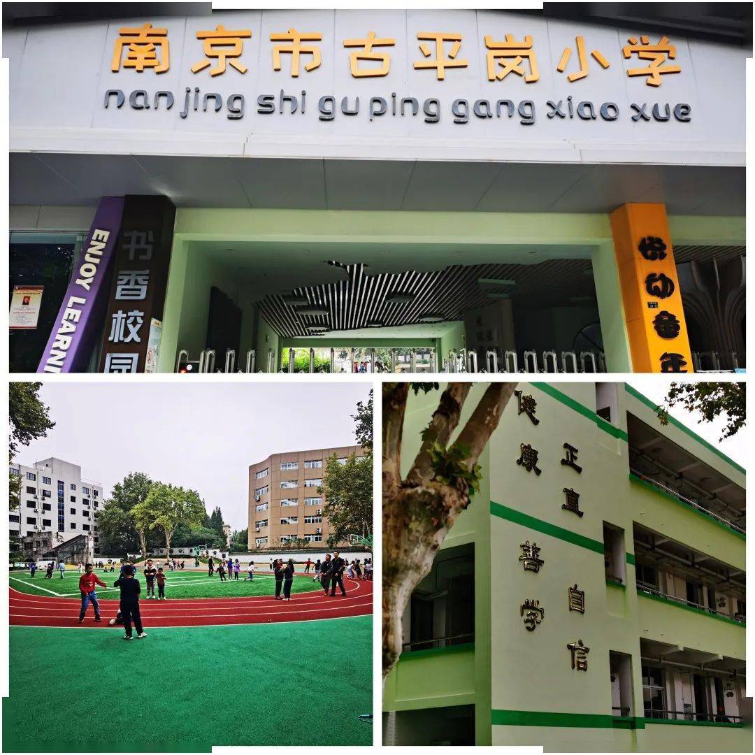 【校园新闻】扬子小记者携金鹰动物世界走进古平岗小学 萌娃见萌宠