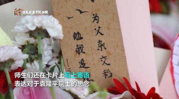 稻禾什么成语_禾稻(3)