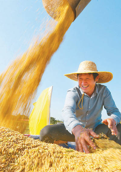 丰收中国 金色画卷