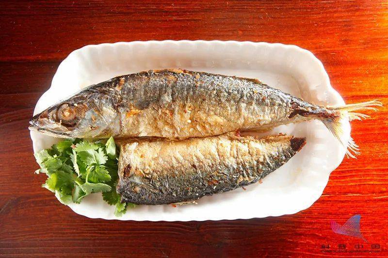 中国|每周吃鱼达到这个量，脑卒中风险下降14%！注意，这几种鱼被点名……