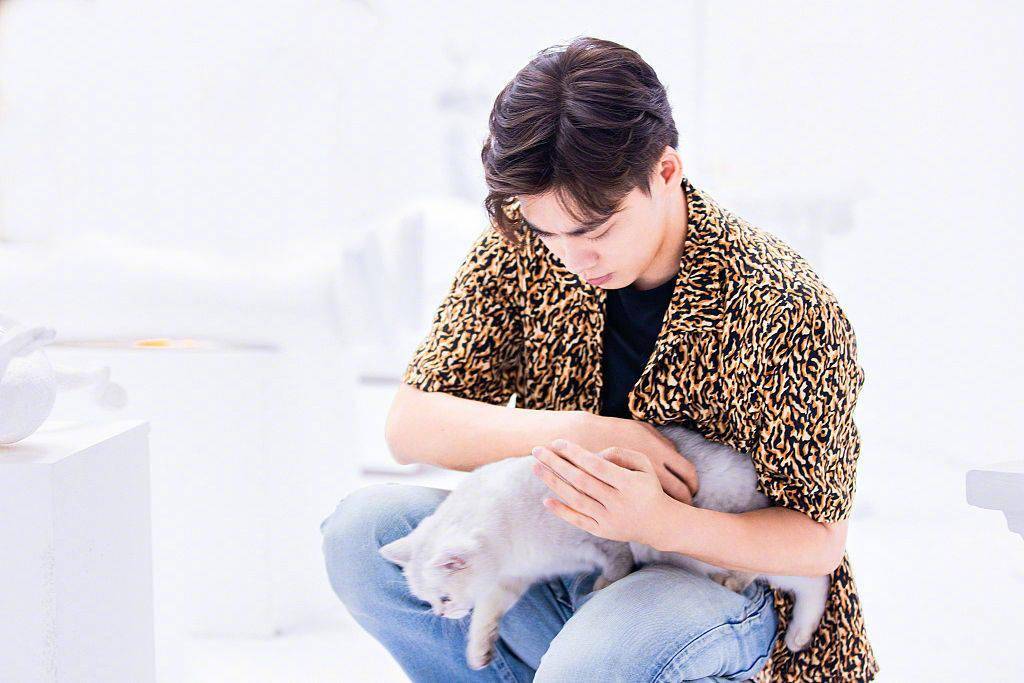 李易峰牛仔裤豹纹衬衫时尚帅气 抱小猫合影目光温柔展完美侧颜