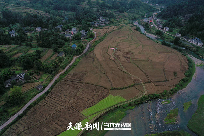 绥阳县茅垭镇图片