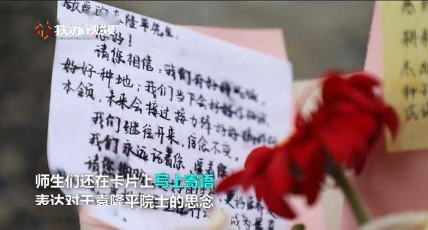 稻禾什么成语_禾稻(4)