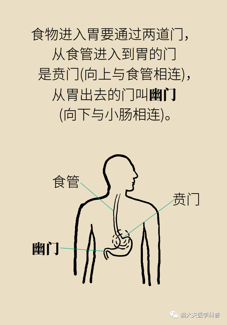 有什么办法缓解酒后难受 fd4654adb343432680c73e1074571299.png