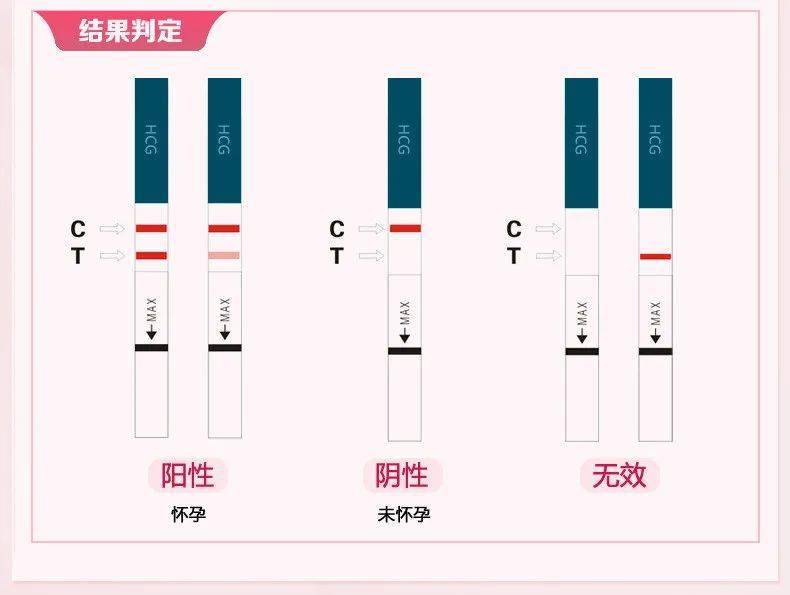 同房后几天会受孕图片