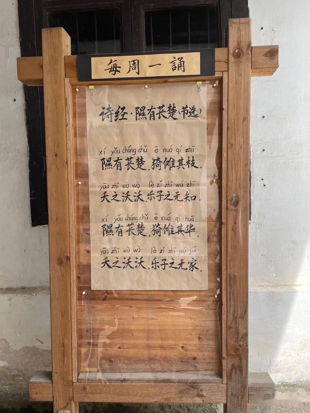 认识诗经里的植物苌楚