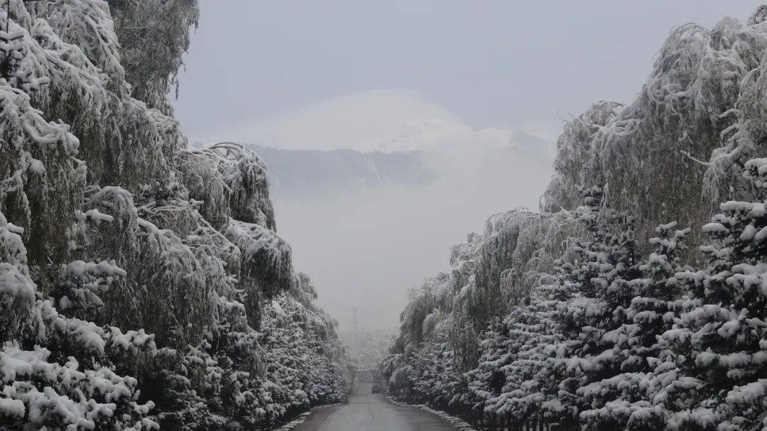 甘肅又下雪了!局地暴雪,最厚達20釐米!(視頻 圖片)