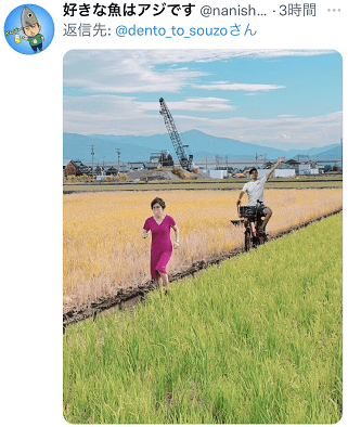 日本女前防卫大臣发田间奔跑图,网友:看起来像偷米的小偷_稻田