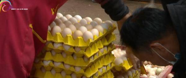 口感|“土鸡蛋”真的比“洋鸡蛋”好吗？答案是......