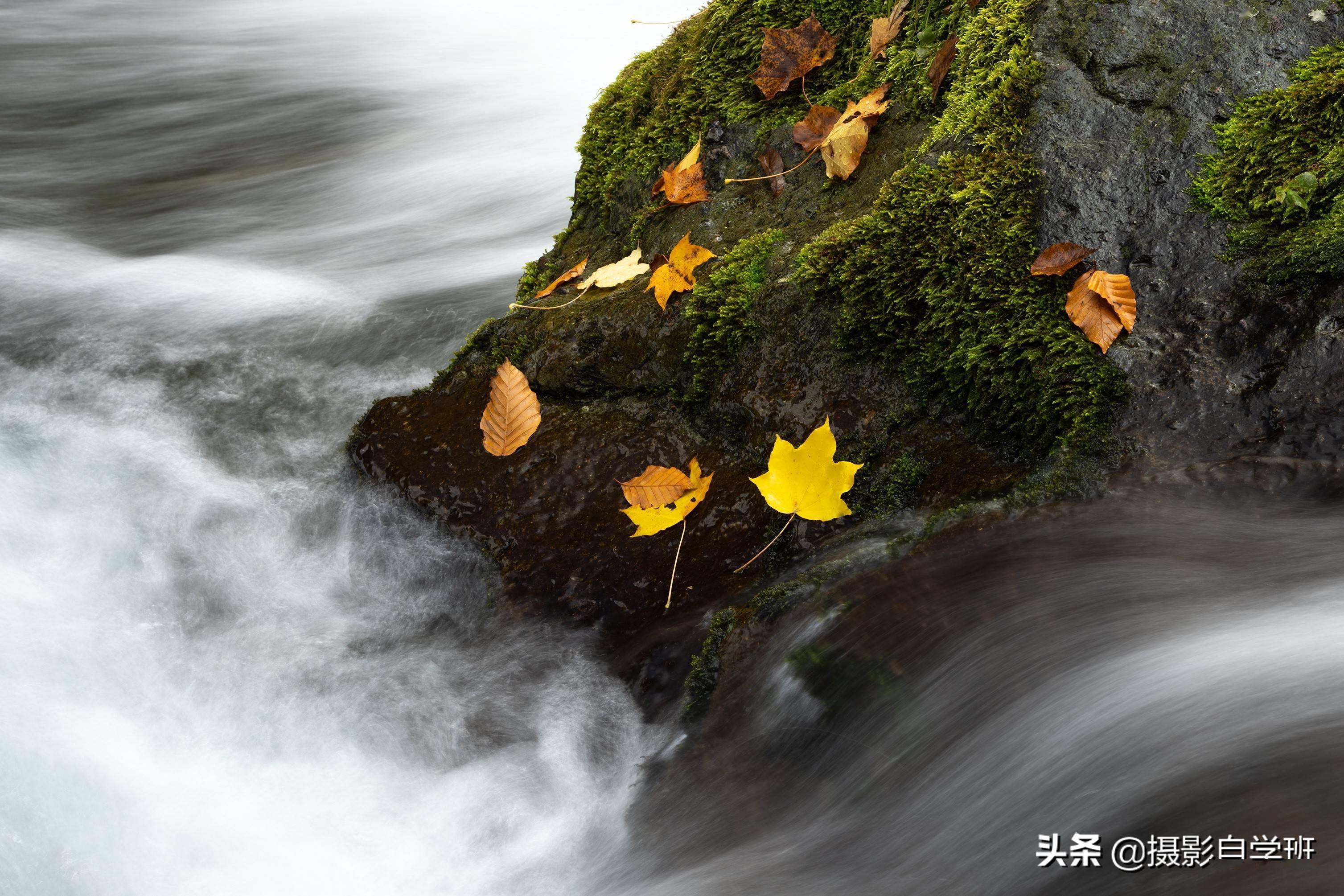 秋天照片不要胡乱拍,按照这8个摄影技巧,新手照片质量快速提升