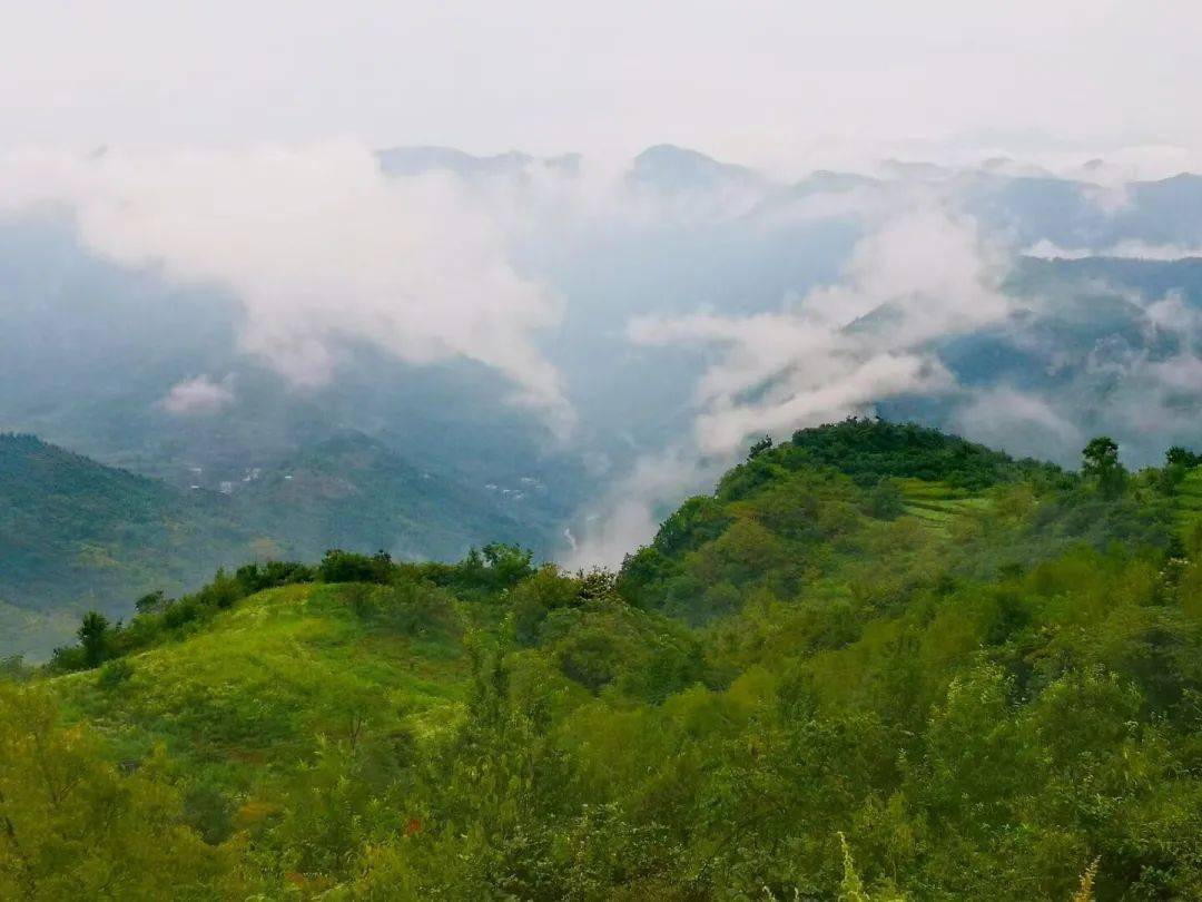 横现河跑马村 "五抓"产业 助力乡村振兴