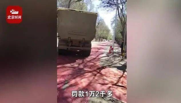 现象 秋收车上路带泥被罚1万多还被要求铺地毯 通报来了 辛口镇