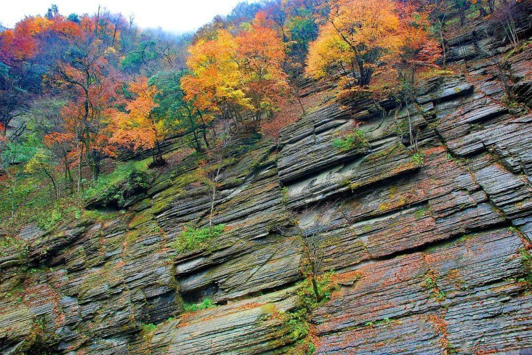 【行摄大地】王韬|秋色天书峡