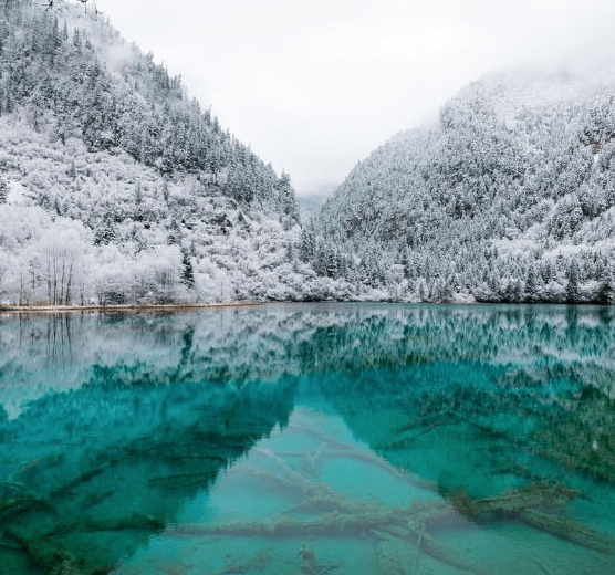 励志人生 人的一生最大的失败 不是跌倒 而是从来不敢奔跑 生活