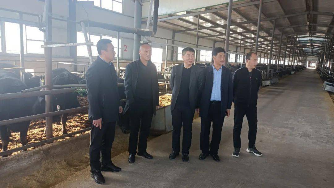 高德军赴齐齐哈尔市龙江县龙江元盛和牛产业股份有限公司考察招商