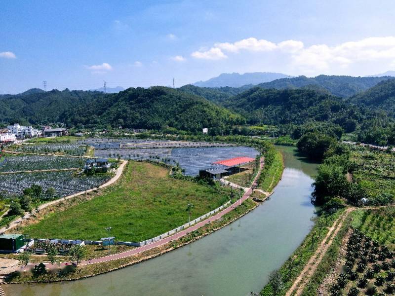 如今,驾车驶入英德市连江样板区,但见连樟村山环水绕,环境优美,车轮下