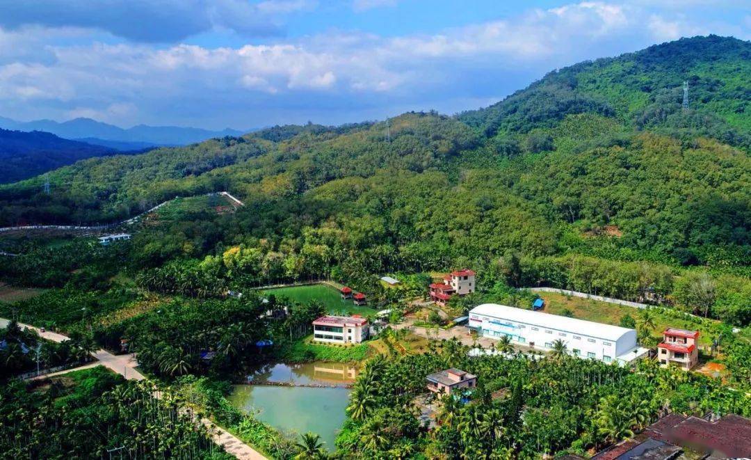 海南省評定8家椰級鄉村旅游點