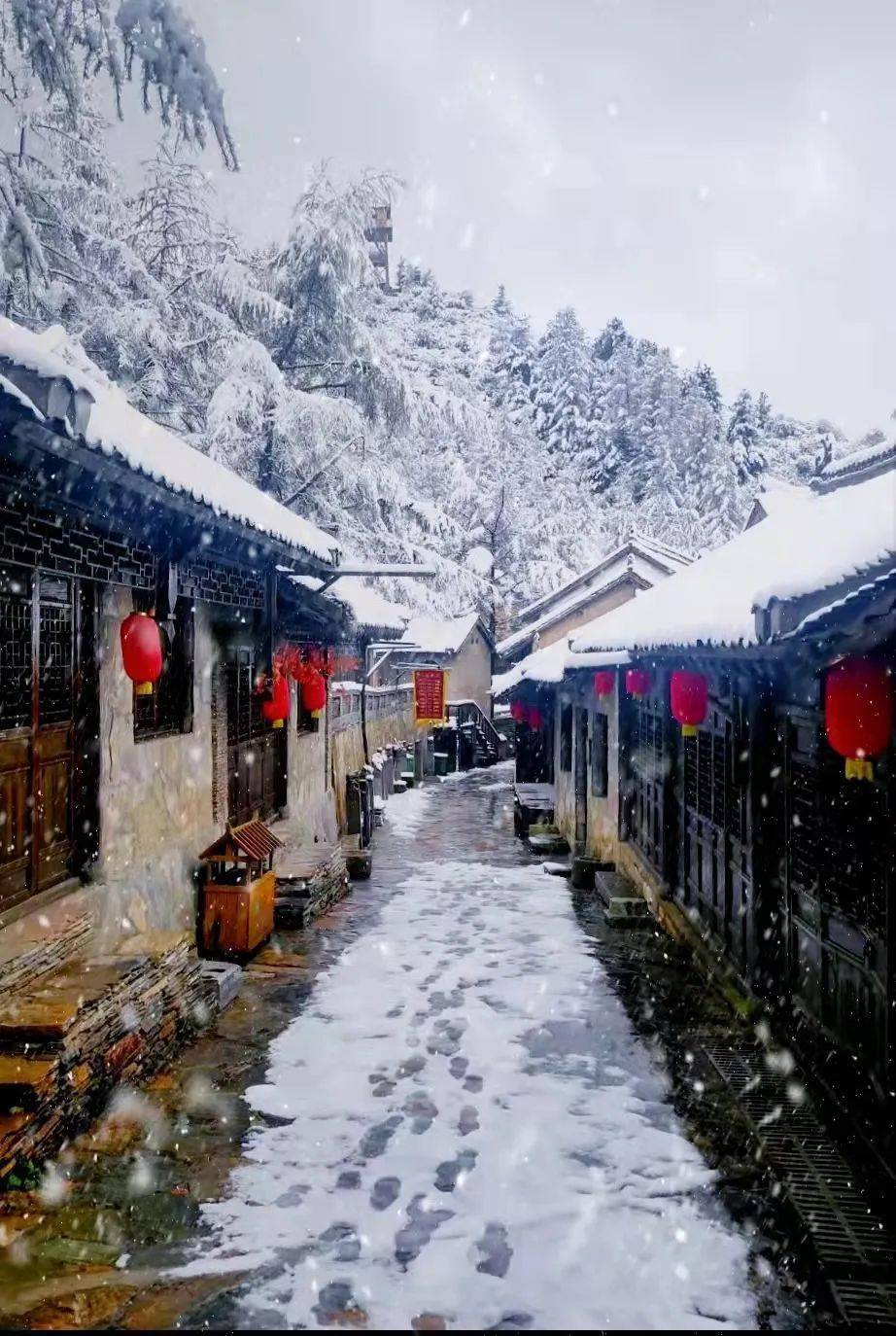 河南农村下雪图片图片