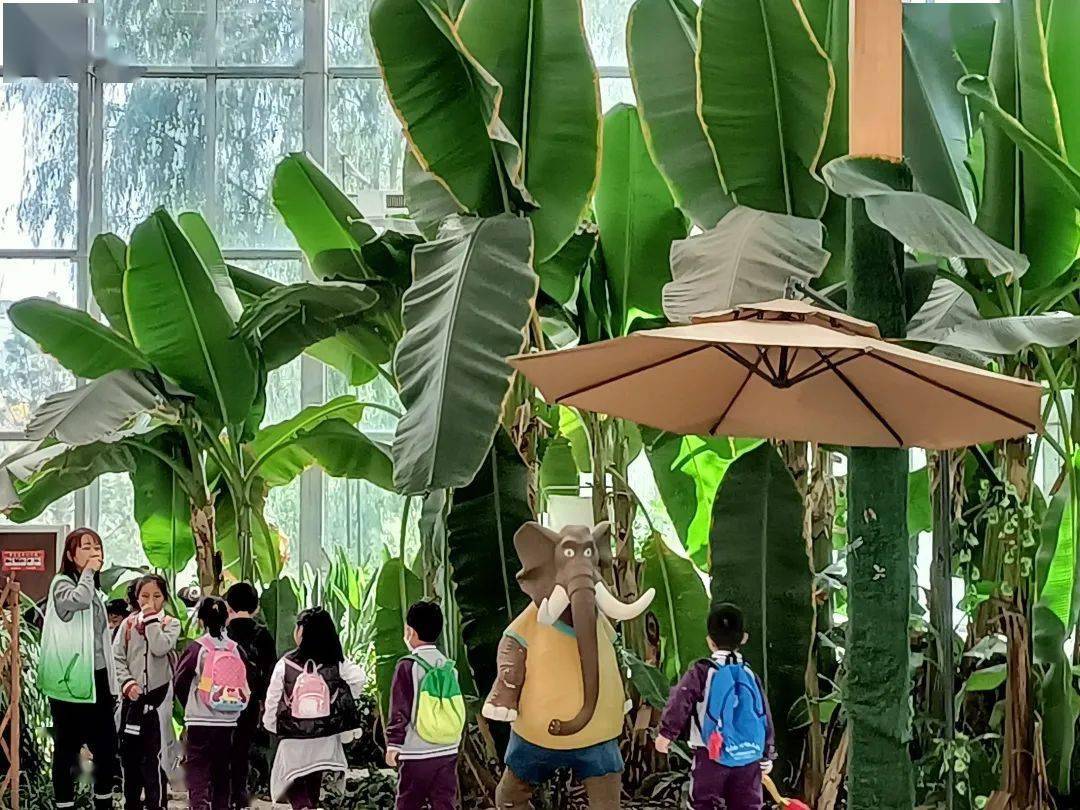 vol967教务处news走进自然感受陶美天成一校二群项目学习研学活动侧记