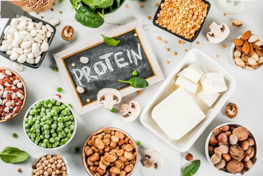 一文详解人体必需营养素—蛋白质!快来看看你补对了没?_食物