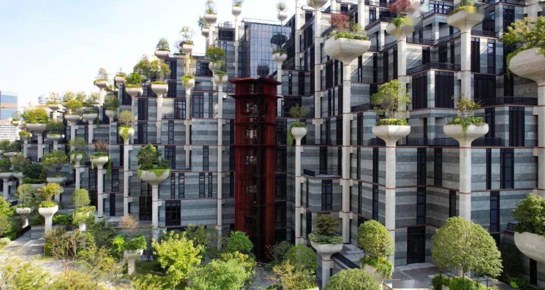 苏州河畔神秘的千树项目官宣今年12月中旬亮相看它如何打造艺术生活新