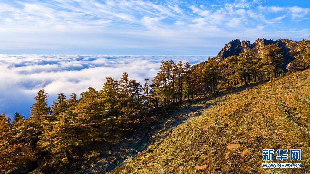 云雾|赏芦芽秋色 观漫山云海