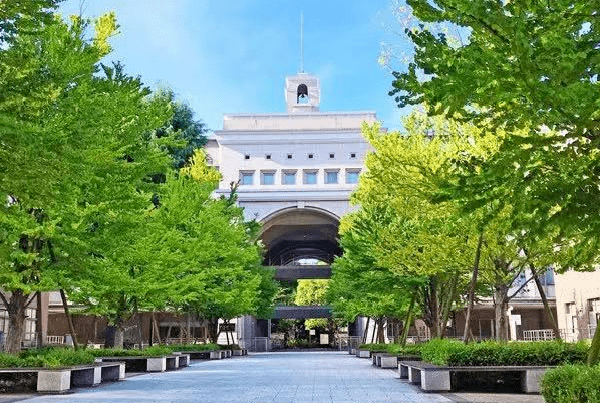 日本都道府县的大学升学率排行榜公布,哪里最强