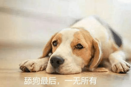 b70a077061674adeb9bd6abc4981aa32.png