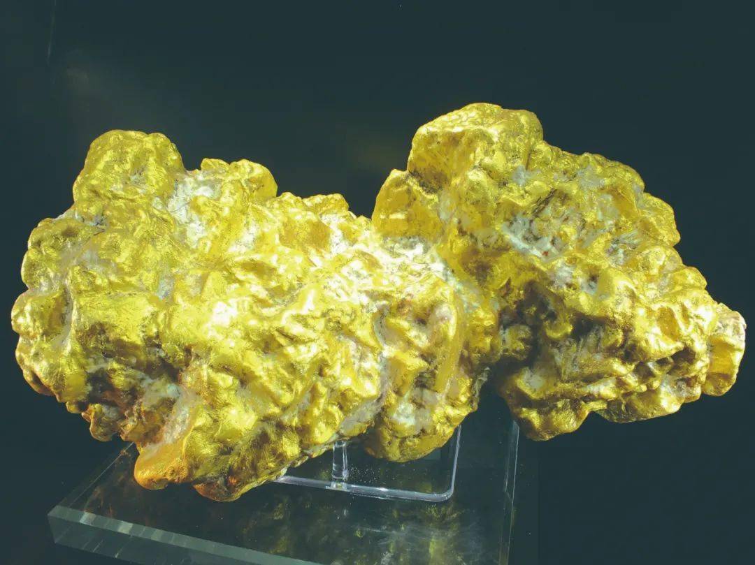 狗头金不简单的金疙瘩