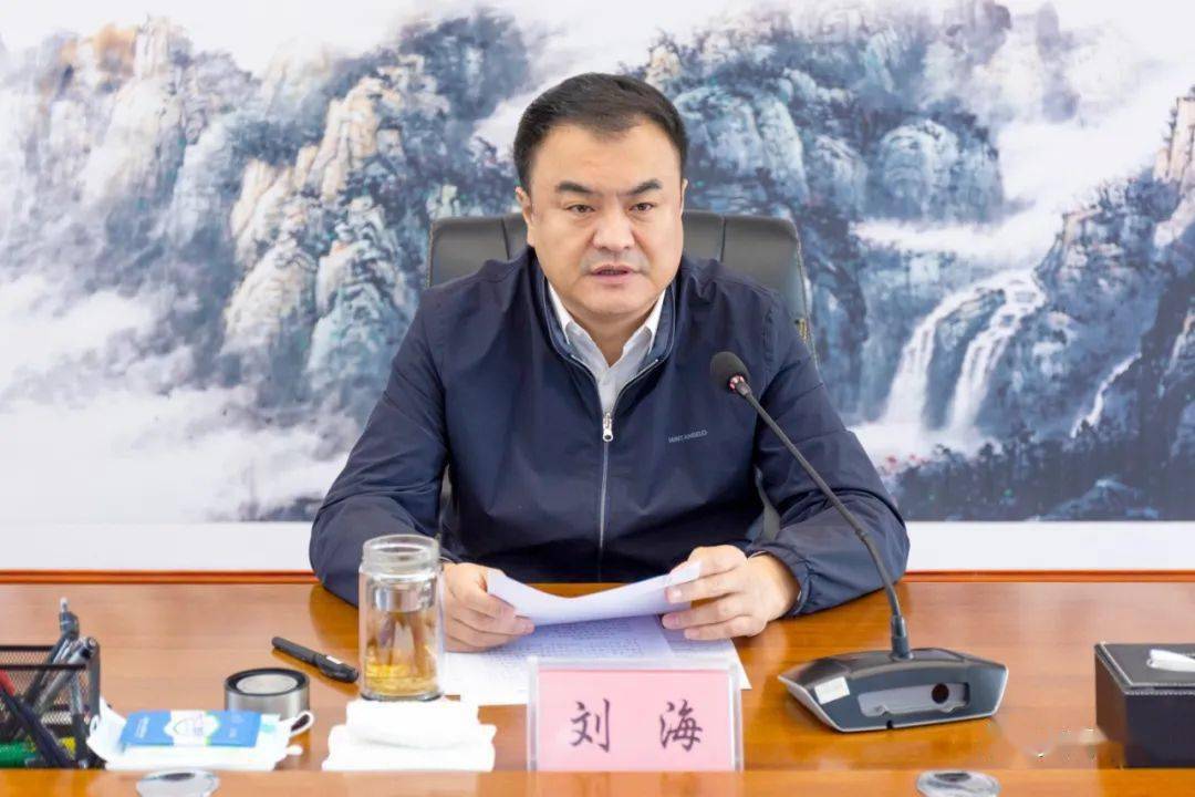 区领导刘志浩,刘海,唐艳秋,高