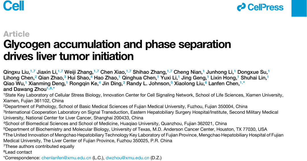 糖原|厦大团队取得肝癌研究重大突破！但有个让人心痛的消息……