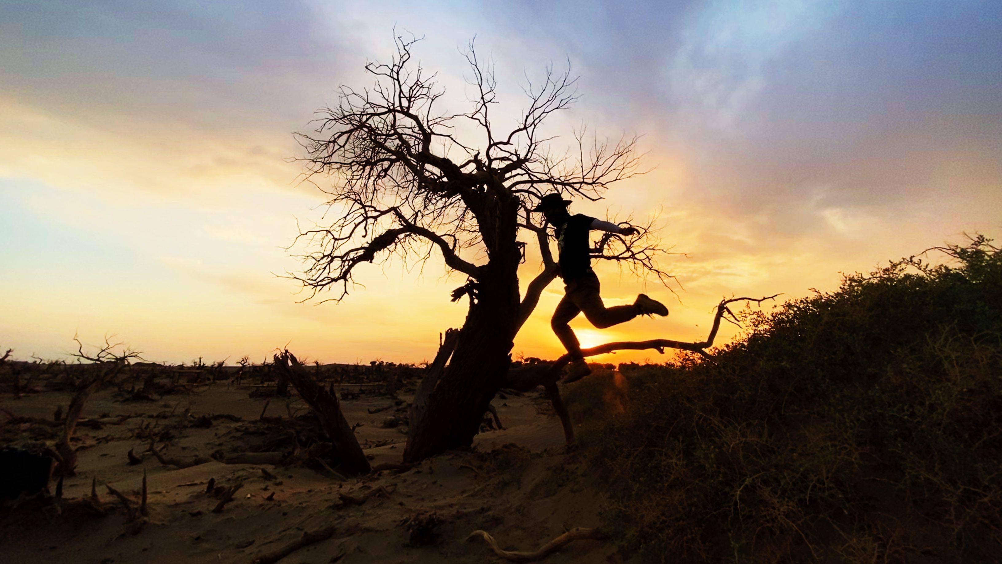 1024程序员节，程序员接过话筒：你瞧，膨胀到都敢接受采访了