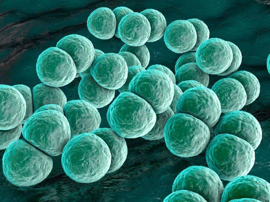 香港|香港79人感染7人死亡！处理这种家常菜要加倍小心……