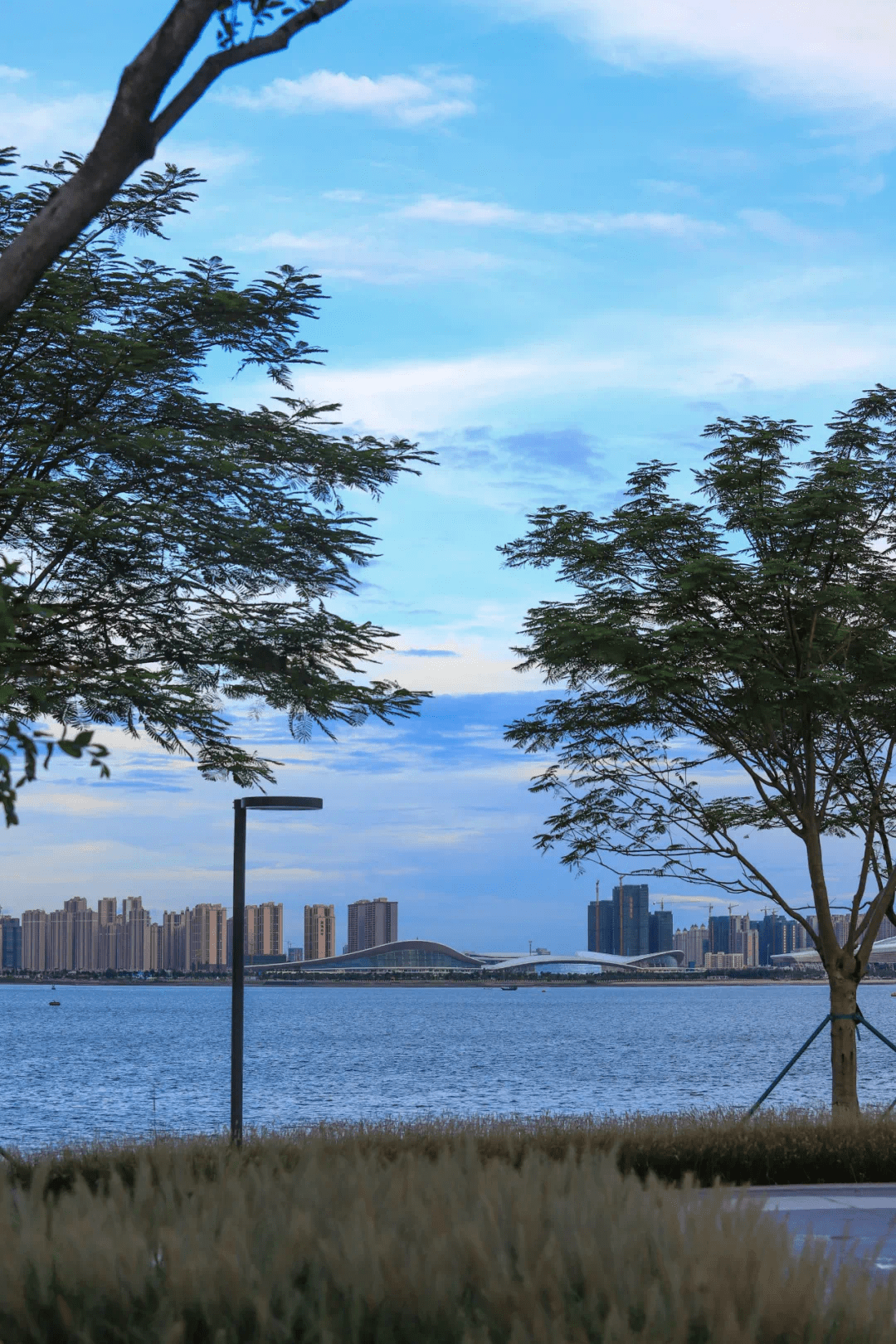 海边的草甸剧场——湛江华侨城欢乐海湾丨致澜景观