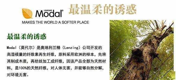文章配图-2