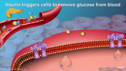 444_250gif 动态图 动图