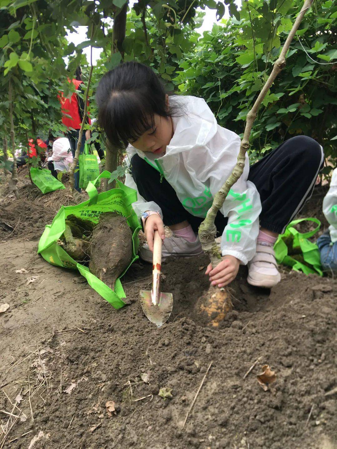 …这群孩子走进更合乡村田野体验农耕生活