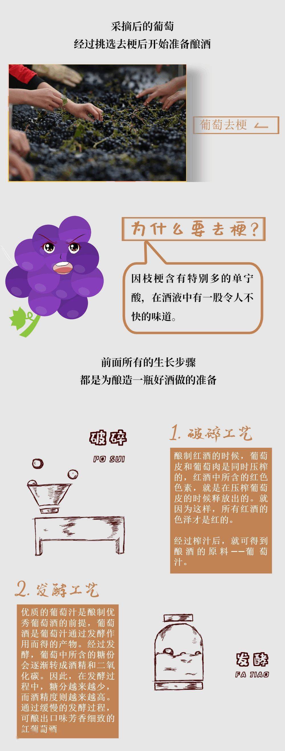 com|一瓶葡萄酒的酿造需要多久?
