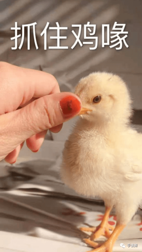 庄园|母亲去世，他与父亲大吵一架后，做出了这款独一无二的游戏