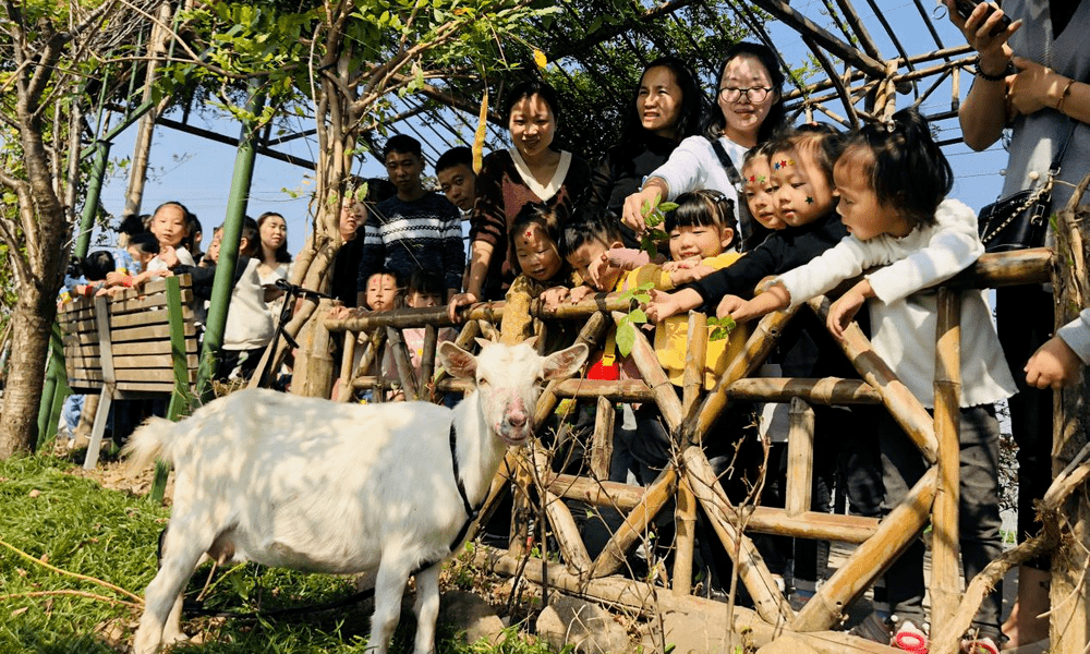 长啸村图片