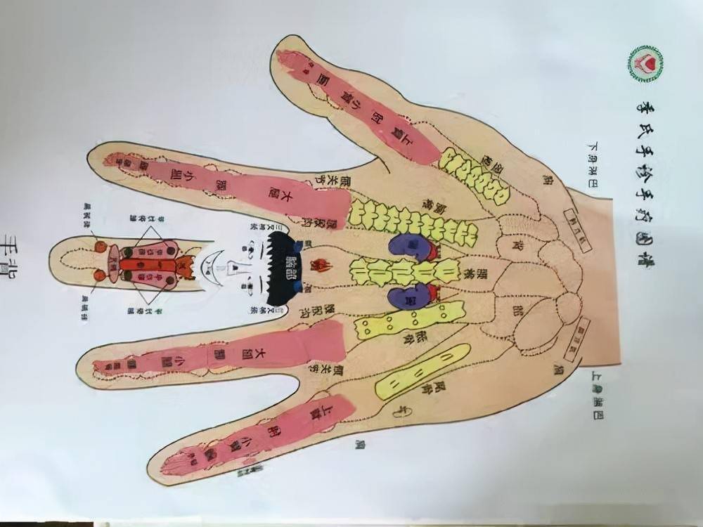中医养生刮手指调百病轻松疏通五脏经络经络通了让你百病不侵