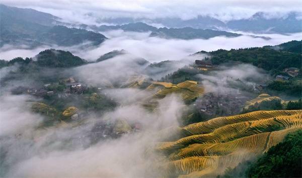 景区|广西龙胜：雨后龙脊云海美如画