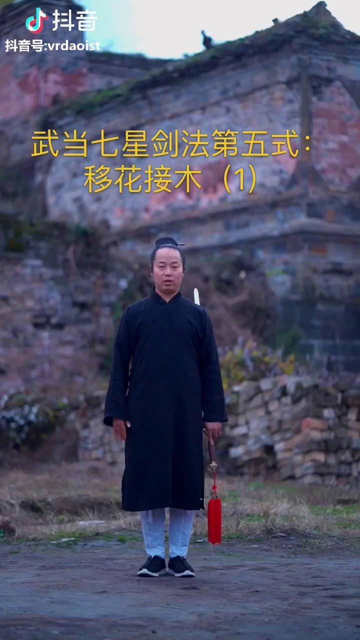 武当入门剑法教学,七星剑第五式(1)早上好,起来练功夫 了.
