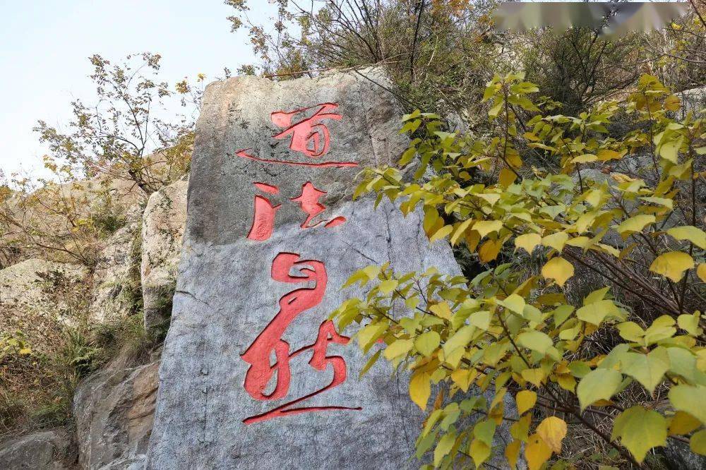 金塘仙人山只缘身在此山中