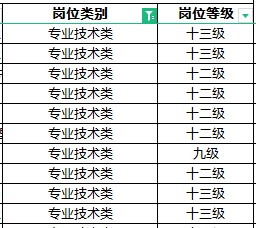 咱們在打開招聘職位表的時候會發現職位表裡會有崗位類別,崗位等級這