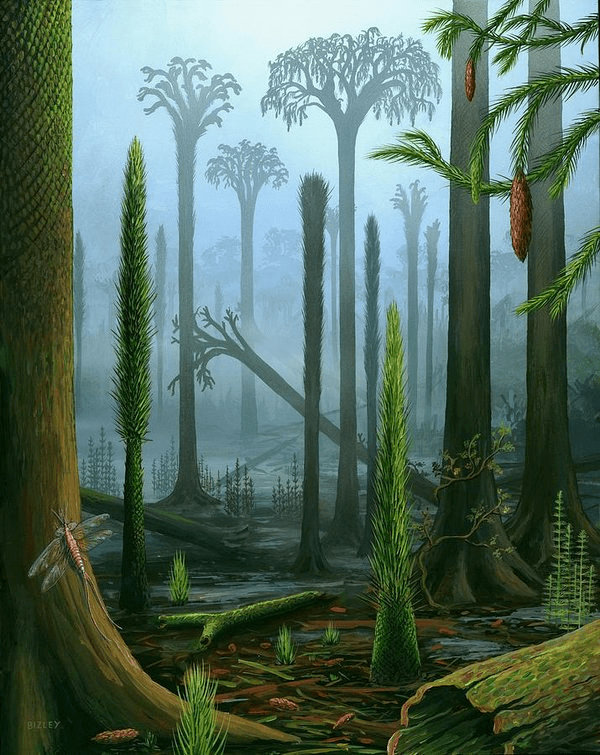 一亿年前的森林隐藏着多少恐怖