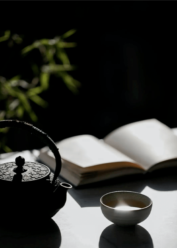 吹罢读书灯一身都是月