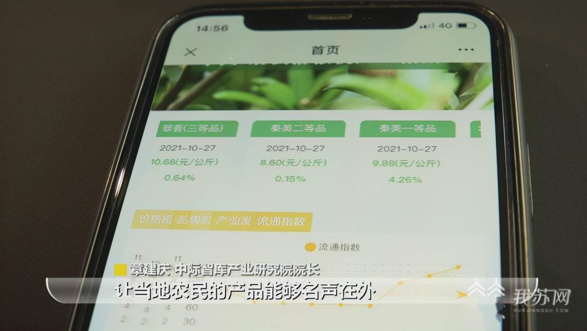 “数字乡村建设研讨会”在南京举行！数字技术让乡村“智变”网红